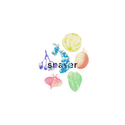 Fruit Collage T-Shirt